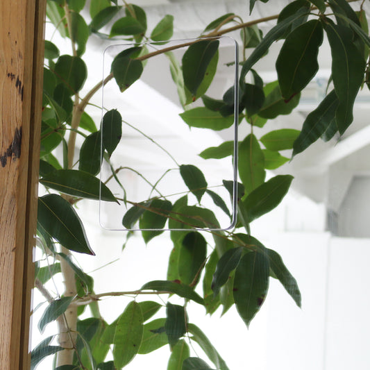 くもらないはるピタ S F-195