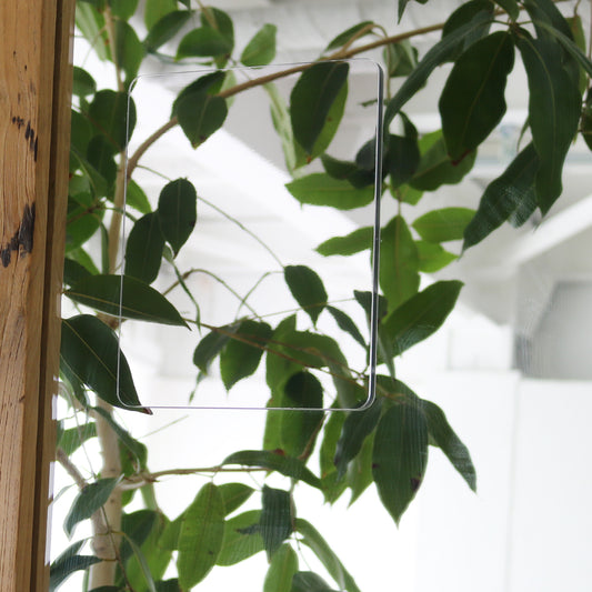 くもらないはるピタ M F-196