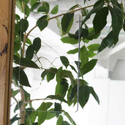 くもらないはるピタ L F-197