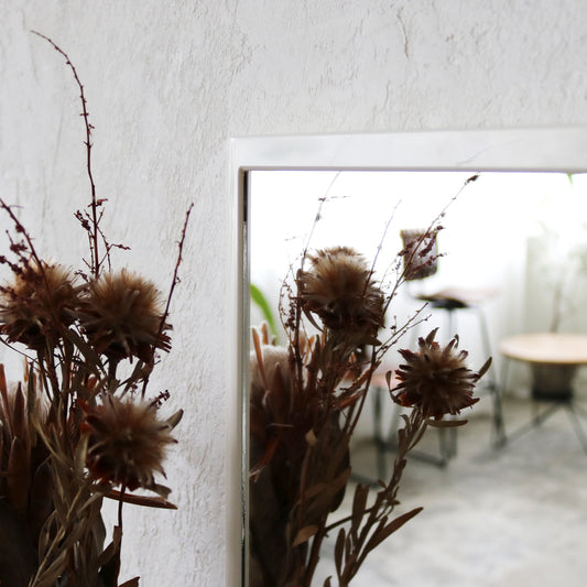 サニタリーミラー XL F-312